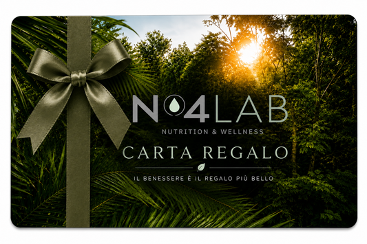 Buono Regalo N4LAB